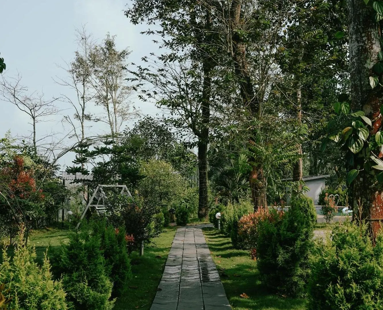 Vaduvanchal Haze Woods Resort