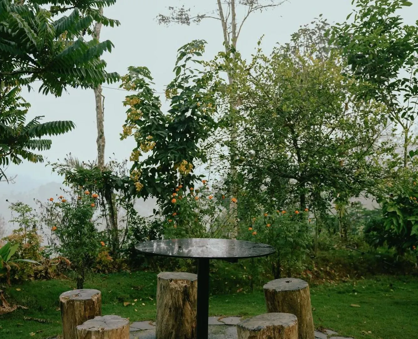 Vaduvanchal Haze Woods Resort