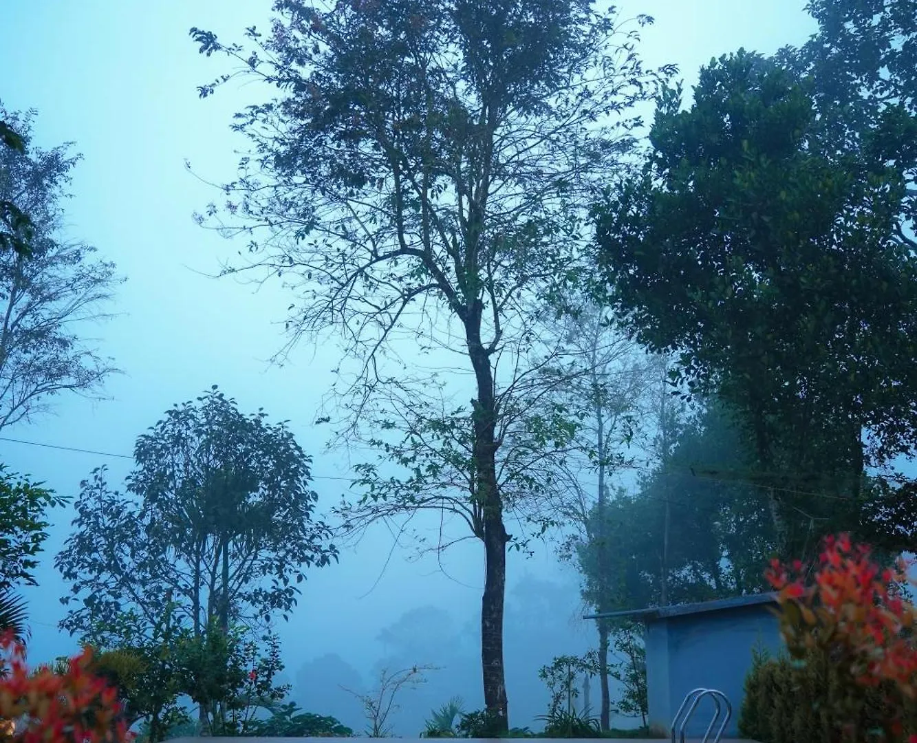 Haze Woods Resort Vaduvanchal