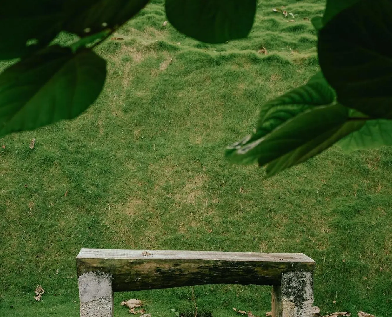 Haze Woods Resort Vaduvanchal