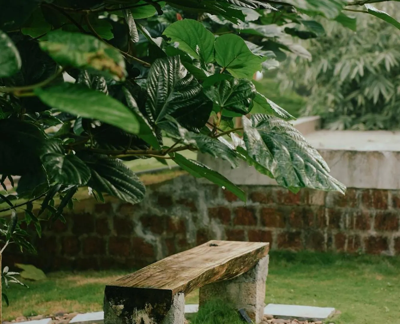 Haze Woods Resort Vaduvanchal