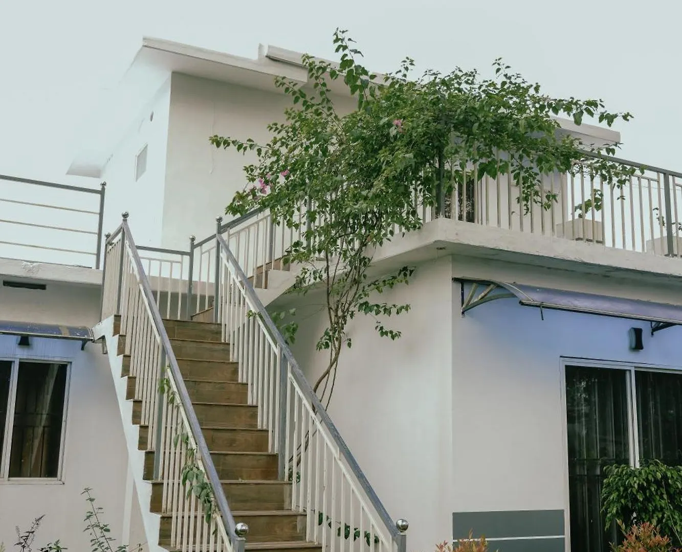 Haze Woods Resort Vaduvanchal Indien